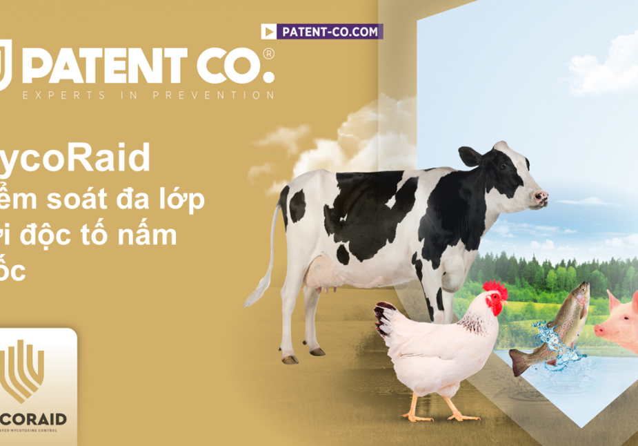 MYCORAID - A MULTILAYER MYCOTOXINS CONTROL